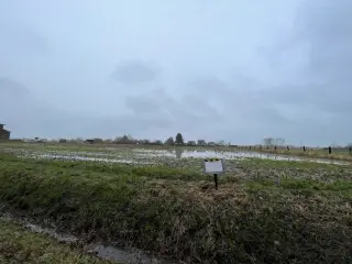 Terrain agricole à vendre Merchtem (RWC38133)