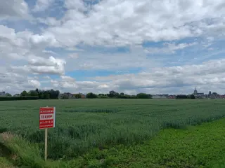 Farmland for sale Asse (RWC38295)