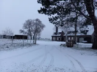 Residence for sale Dikkelvenne (RWC39541)