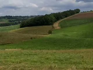 Bouwgrond te koop Goesnes (RWC39786)