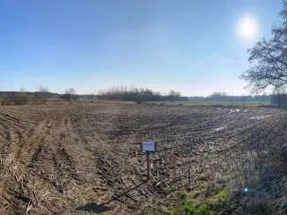 Landbouwgrond te koop Vorselaar (RWC40528)