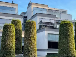 Duplex à vendre Beersel (RWC41212)