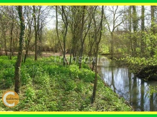 Land for sale Germigny-l'Exempt (VAH78124)