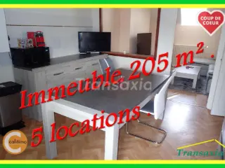 Huis te koop Mehun-sur-Yèvre (VAJ54162)