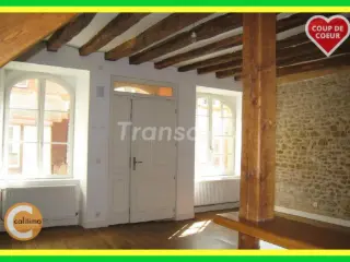 Maison à vendre Levroux (VAJ64464)
