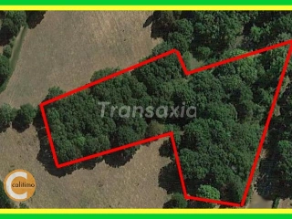 Land for sale Lurcy-Lévis (VAK37418)