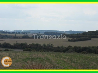 Land for sale Menetou-Salon (VAK77756)