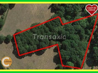 Land for sale Sancoins (VAL07887)