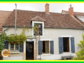 Residence for sale Châteauneuf-sur-Cher (VAL38666)