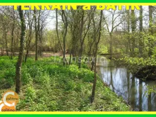 Land for sale Lurcy-Lévis (VAL60507)