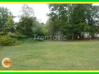 Land for sale Lamotte-Beuvron (VAL95091)