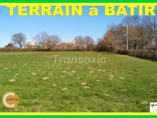 Land for sale Lurcy-Lévis (VAM12078)