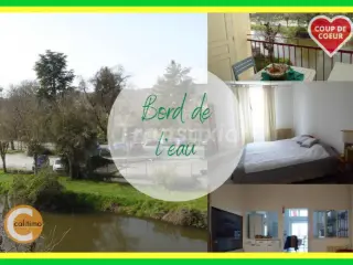 Residence for sale Châteauneuf-sur-Cher (VAM27770)