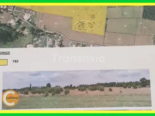 Farmland for sale Berthez (VAM37349)