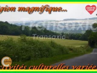 Huis te koop Henrichemont (VAM53609)