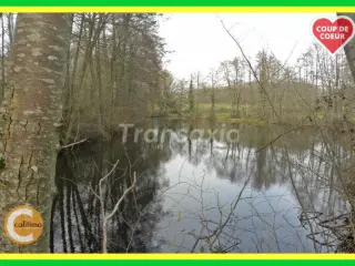 Land for sale Léré (VAM54143)