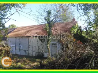 Maison à vendre Lurcy-Lévis (VAM79255)