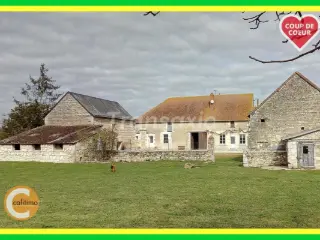Ferme à vendre Nouâtre (VAN53481)