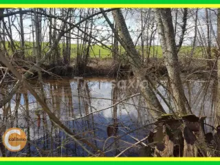 Land for sale Lignières (VAQ12601)