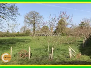 Land for sale Sacierges-Saint-Martin (VAR77297)