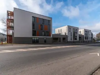 Handelspand te koop Aarlen (VAW56507)