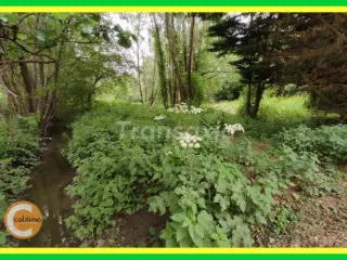 Land for sale Vailly-sur-Sauldre (VAW62143)