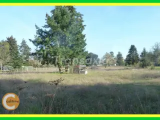 Land for sale Lamotte-Beuvron (VAX43074)