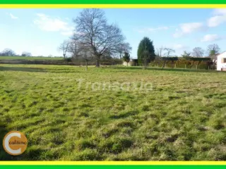 Development site for sale Montluçon (VAX45906)