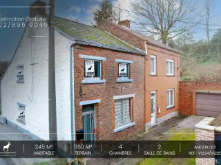 Maison à vendre Anderlues (VAX58919)