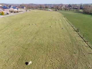 Verkavelingsgrond te koop Ambresin (VAX62536)