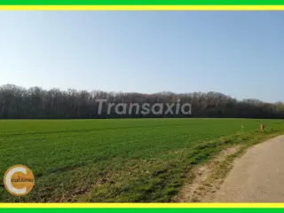 Land for sale Saint-Valérien (VAX65890)