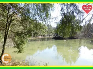 Terrain à vendre Argent-sur-Sauldre (VAX72050)