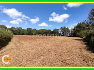 Land for sale Vailly-sur-Sauldre (VAX98833)