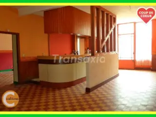 Commercial building for sale Neuvy-sur-Barangeon (VAY19130)