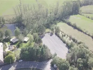 Handelspand te koop Hogne (VAY46075)