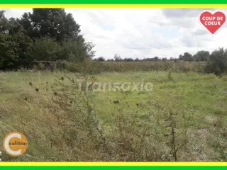 Terrain à bâtir à vendre Limeux (VAY51864)