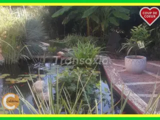 Maison à vendre Issoudun (VAY51866)