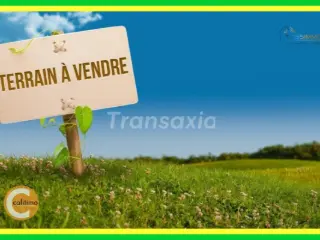 Terrain à vendre Issoudun (VAY51875)