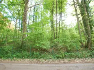 Onbepaald pand te koop Bossut-Gottechain (VAY52146)