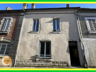 Duplex à vendre Châteauneuf-sur-Cher (VAY55305)