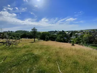 Terrain à vendre Anseremme (VAY58202)