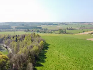 Terrain à vendre Assenois (VAY64969)