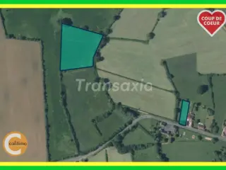 Land for sale Garigny (VAY81110)