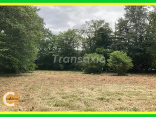 Land for sale Henrichemont (VAY94971)