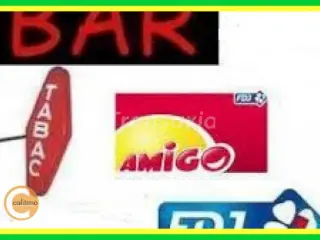 Commercial building for sale Saint-Julien-du-Sault (VAY97255)