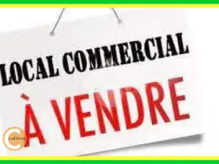 Commercial building for sale Vailly-sur-Sauldre (VAY98209)