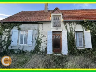 Residence for sale Châteauneuf-sur-Cher (VAZ03530)