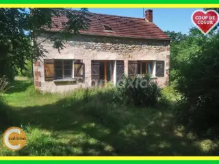 Cottage for sale Saint-Amand-Montrond (VAZ28031)