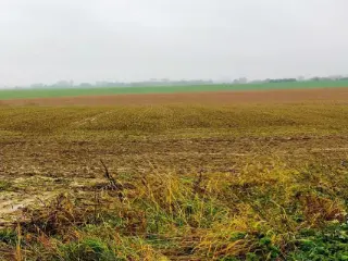 Farmland for sale Steenkerque (VAZ33479)