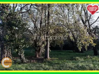 Terrain à bâtir à vendre Lunery (VAZ36398)